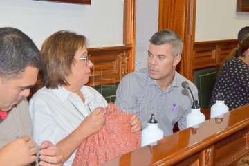 Sesión plenaria correspondiente al mes de noviembre (Foto Francisco Javier Santana)